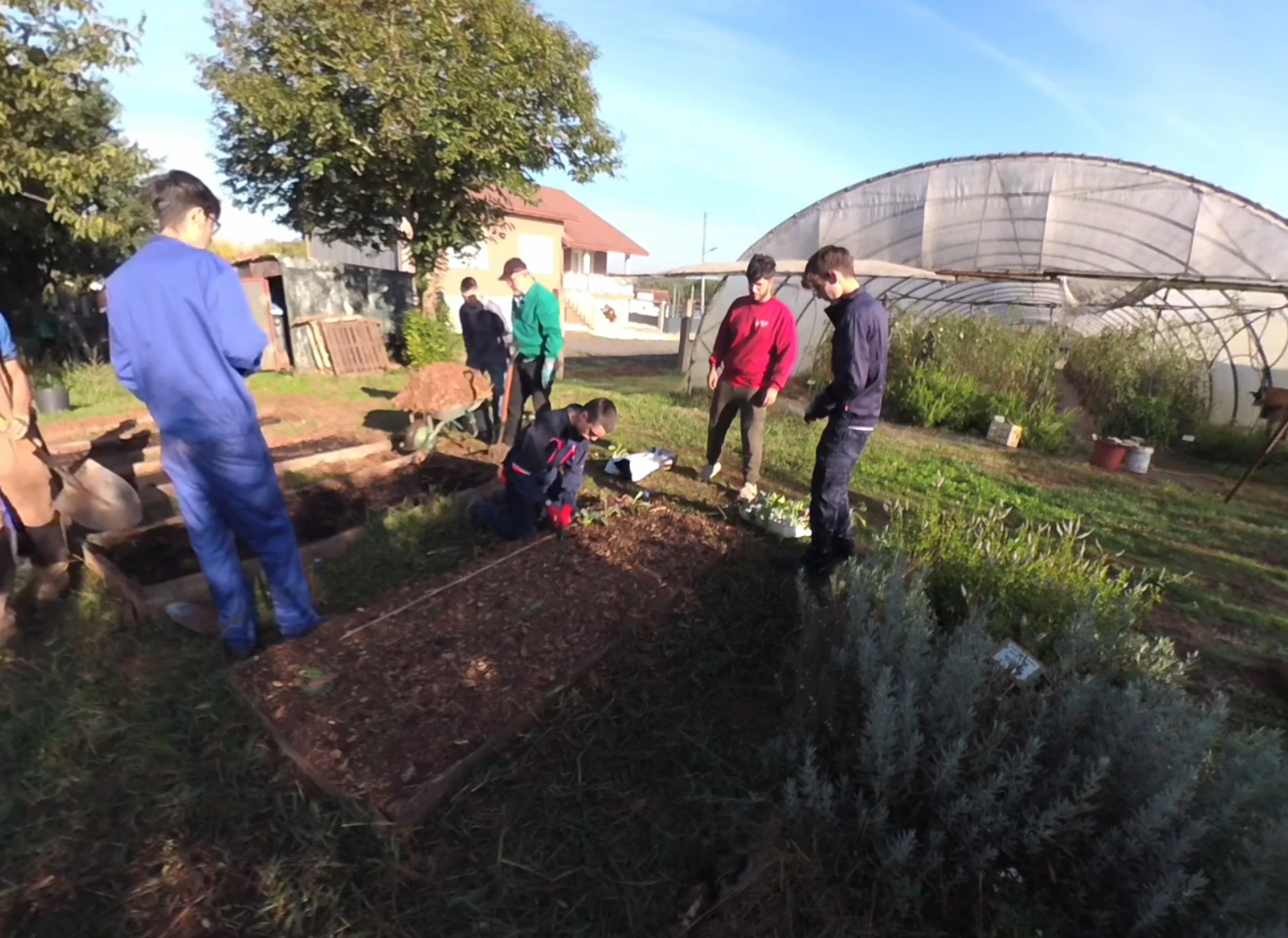Horticultura